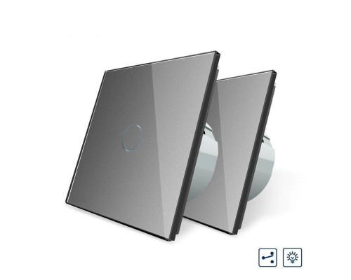 Комплект Сенсорный проходной диммер серый стекло Livolo (VL-C701H/C701H/S1B-15)