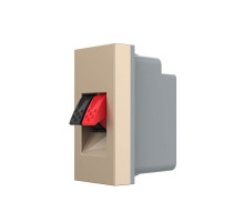 Механизм розетка Hi-Fi аудио золото Livolo (VL-FCSD-1APS01)