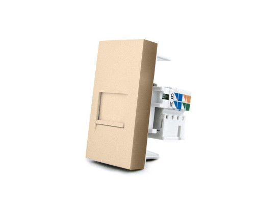 Механизм розетка интернет RJ-45 золото Livolo (C7-1C-13)