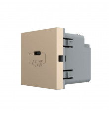 Механизм розетка USB type C с блоком питания 45W золото Livolo (VL-FCUC-2AP)