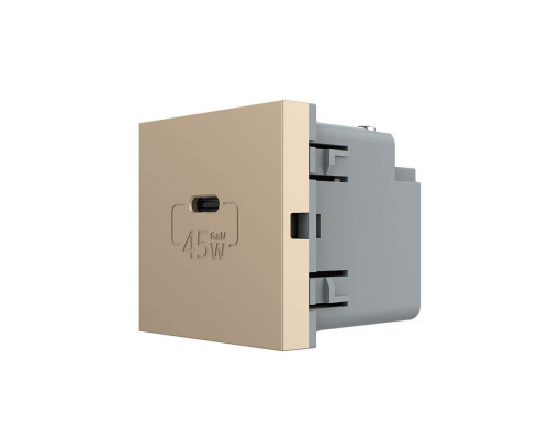 Механизм розетка USB type C с блоком питания 45W золото Livolo (VL-FCUC-2AP)