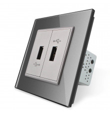 Розетка двойная USB с блоком питания серый стекло Livolo (VL-C792U-15)
