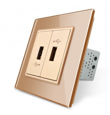 Розетка двойная USB с блоком питания золото стекло Livolo (VL-C792U-13)