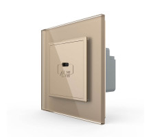 Розетка USB type C с блоком питания 45W золото Livolo (VL-C7-FCUC-2AP)