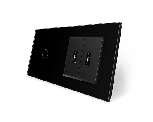 Сенсорный выключатель 1 сенсор 2 USB черный стекло Livolo (VL-C701/2USB-12)