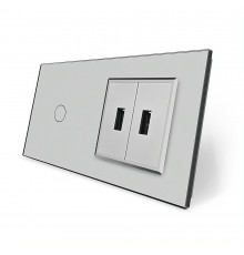 Сенсорный выключатель 1 сенсор 2 USB серый стекло Livolo (VL-C701/2USB-15)