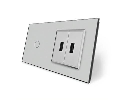 Сенсорный выключатель 1 сенсор 2 USB серый стекло Livolo (VL-C701/2USB-15)