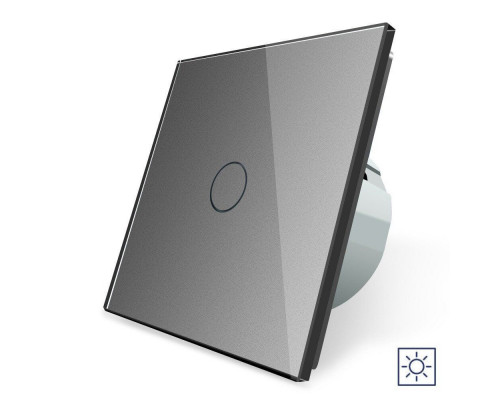 Сенсорный выключатель 1 сенсор Сухой контакт серый стекло Livolo (VL-C701I-15)