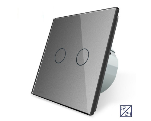 Сенсорный выключатель 2 сенсора 12/24В серый стекло Livolo (VL-C702C-15)