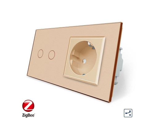 Умный сенсорный проходной выключатель 2 сенсора 1 розетка золотой стекло Livolo (VL-C702SZ/C7C1EU-13)