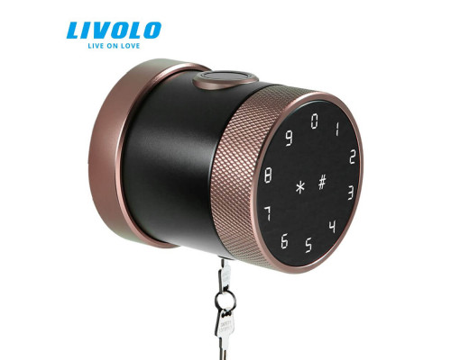 Умный замок Livolo (VL-SHL001-I)