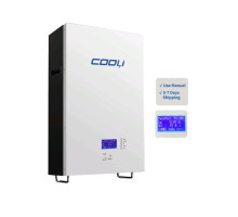 Аккумуляторна батарея CLW-51,2V 100Ah, LiFePO4, LFP